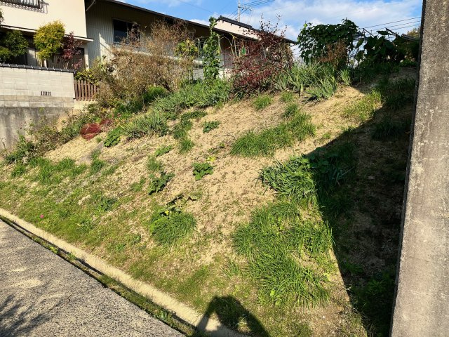 鳩ヶ丘売地1の外観|土地外観（西側）