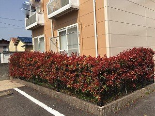 レオパレス紺屋町の外観