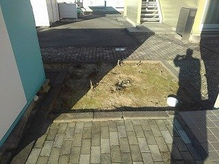 【その他】 | レオパレス琵琶渕レジデンスⅡ