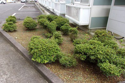 【その他】 | レオパレスセレルラ野田町