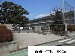 【周辺】 | ハレレア