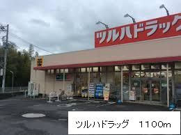 【周辺】 | ハレレア