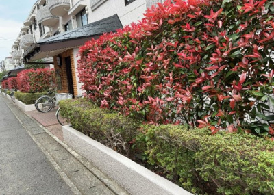 【庭】 | オリエント東林間ハウスー２ | 物件によっては、入居者が個人的に使用できる専用庭がついているものもあります。また、住宅の中にある土間の部分を庭と呼ぶこともあります。庭の用途は住む人によって変わり、それによってデザインもさまざまです。