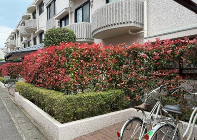 【中庭】 | オリオエント東林間ー２ | 中庭（パティオ）とは、一つの建築物の内部に設けられた、壁などで囲われている庭のことを指します。コの字型、ロの字型が主流ですが、L字型の中庭もあります。最近では、インテリア性の高さからも人気があります。