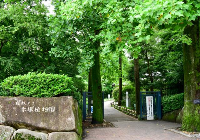 板橋区立赤塚植物園