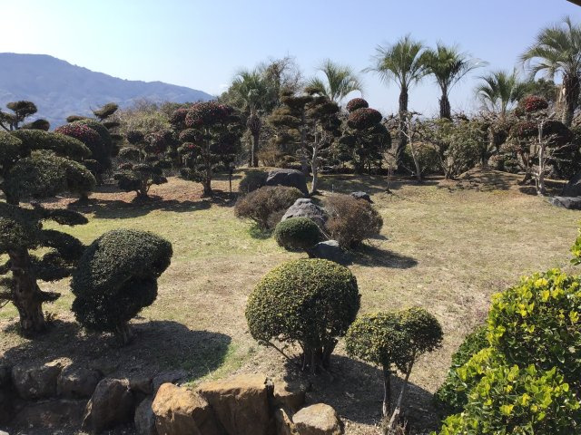 紀の川市松井・中古戸建・54661の庭