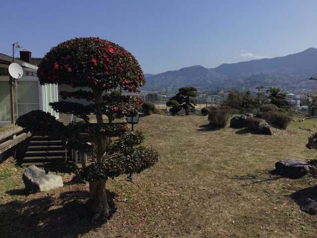 紀の川市松井・中古戸建・54661の庭