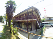 杉林文化の画像