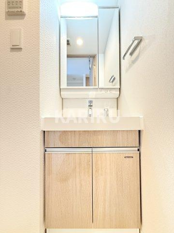 S-RESIDENCE高井田beletaの洗面所