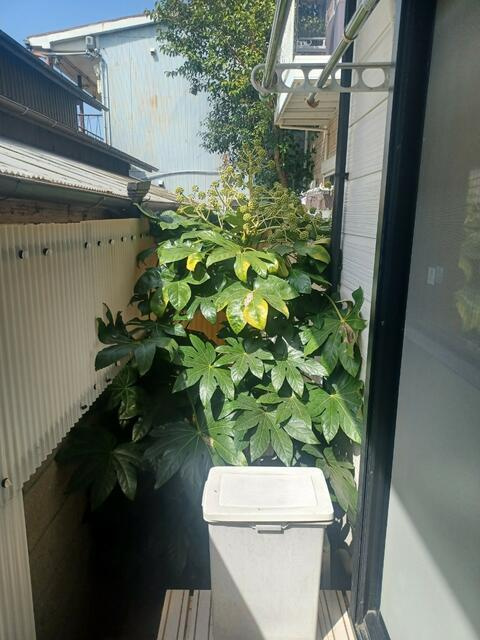 プチエミナールⅠのバルコニー