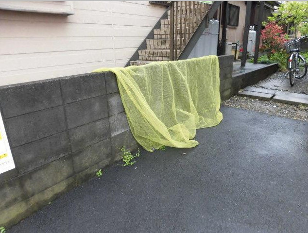 コーポさくらのロビー|毎日通るロビーはこのようになっています