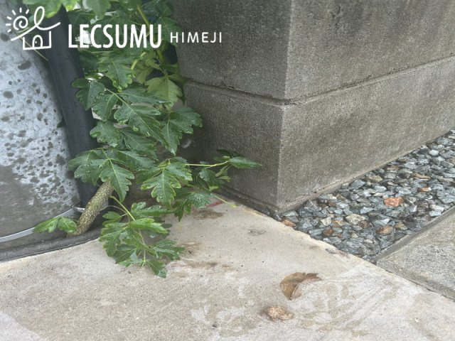 姫路市的形町的形/中古戸建の内装