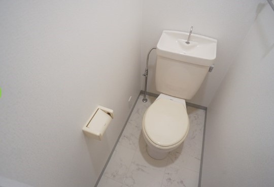 エステートピアドミールのトイレ