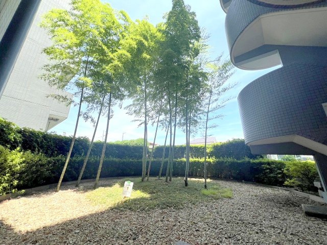 コスモ立川サングレイス　の庭