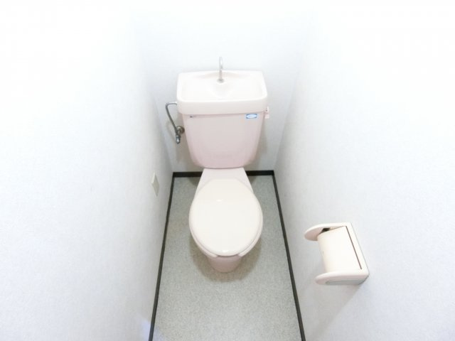 メゾンアルカディア金剛のトイレ