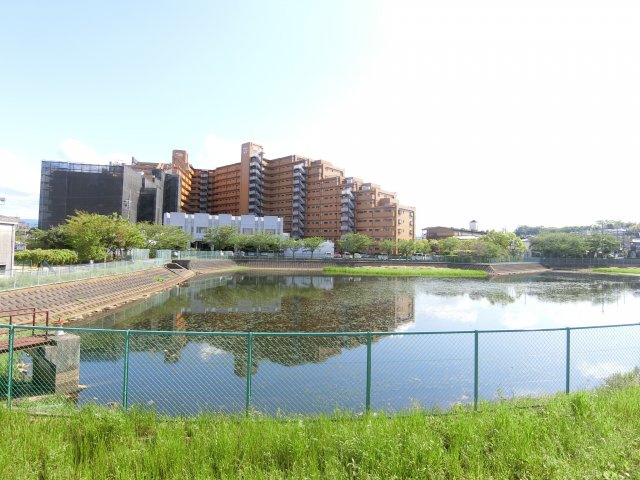 メゾンアルカディア金剛の展望