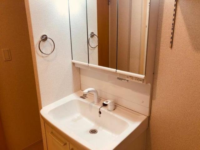 グレイス　ルタンⅡの洗面所