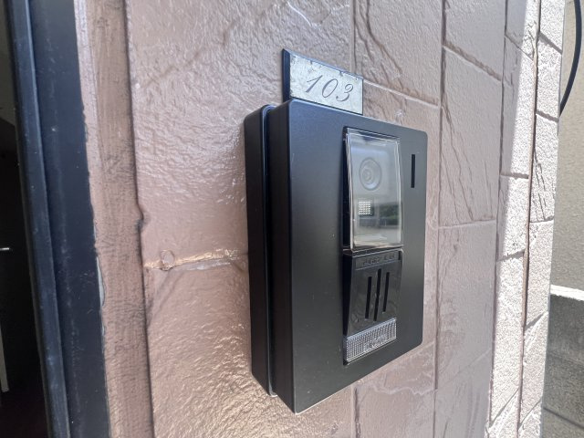 ドルフィンのその他