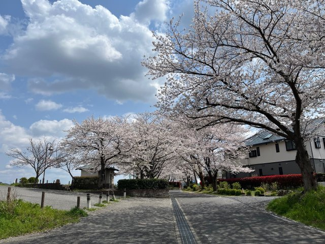越谷市大成町 新築戸建の周辺