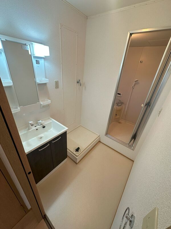 エスポアール【キャッシュバック対象物件】の洗面所