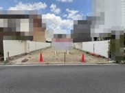 K11942-紫明の画像