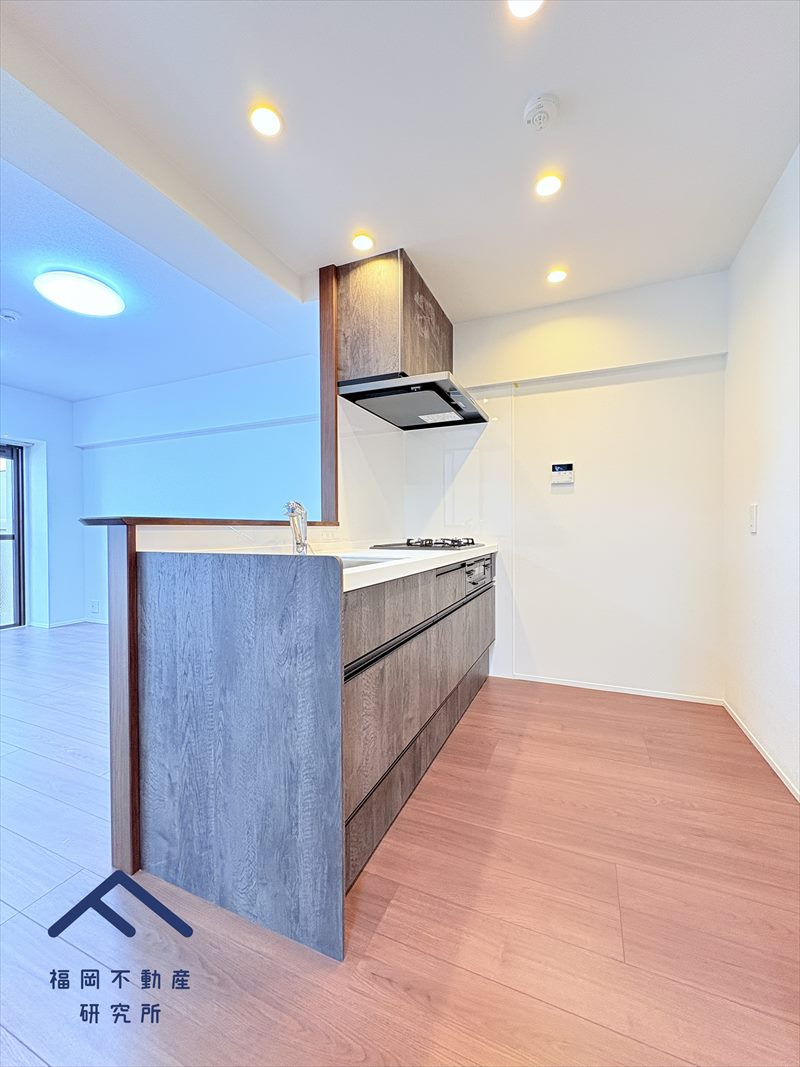 朝日プラザ大橋南のキッチン