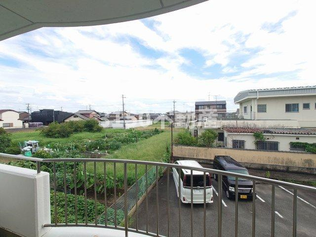 Fifth　Aveの展望