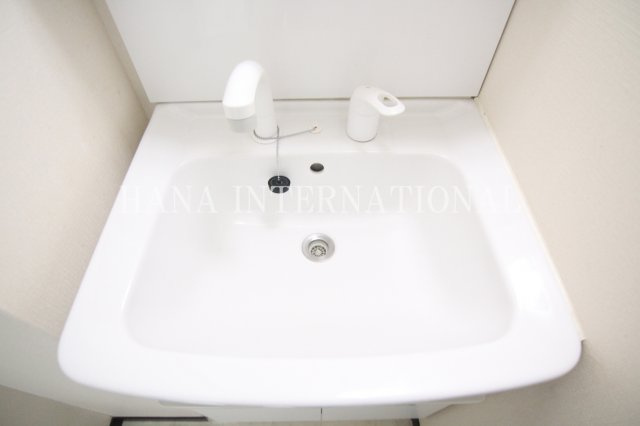 レオネクストサンモールⅢの洗面所