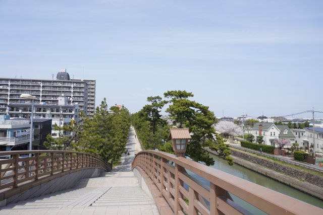 キャッスルマンション草加松原の周辺