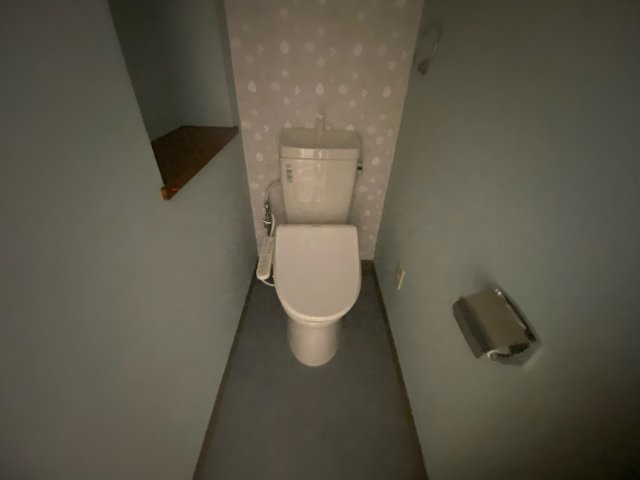八丈グランドハイツ北棟のトイレ