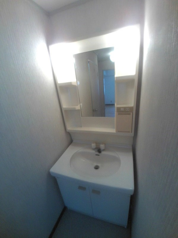 ミクロハイムの洗面所