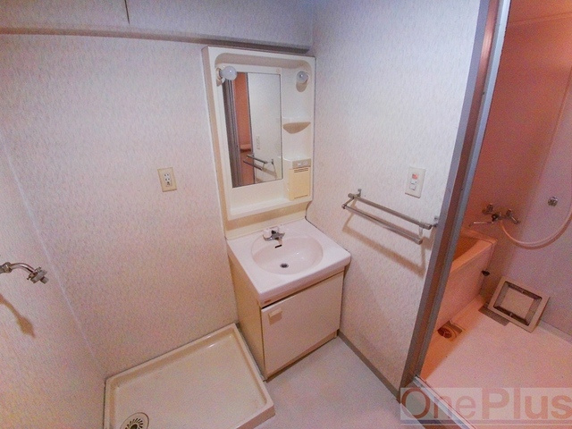 カンタル御影（旧レジデンス御影）の洗面所