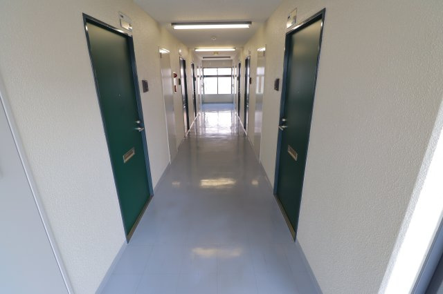 グランデール山科のその他|フロアの廊下写真となります。