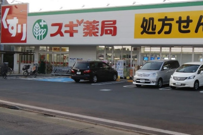 【周辺】 | ヴィラージュK　14622 | スギドラッグ 練馬三原台店まで250ｍ
