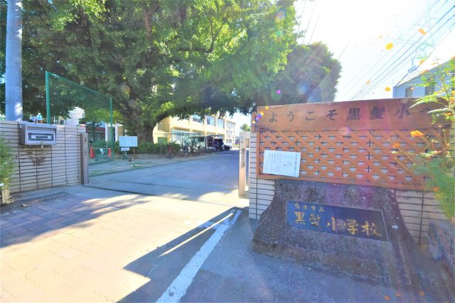 熊本市中央区薬園町第1-2棟（1号棟）の周辺|黒髪小学校