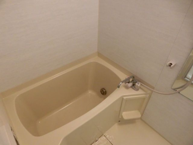 エグゼレジデンスタワーの浴室