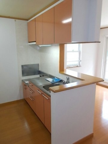 熊本市北区龍田陳内２丁目のアパートのキッチン|使いやすいキッチンです