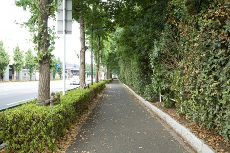 フォレブルーの周辺