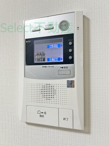 ディアレイシャス泉のその他