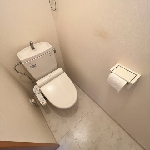 ハイツからんⅤのトイレ