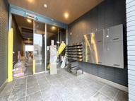 フース　コーシェリの画像