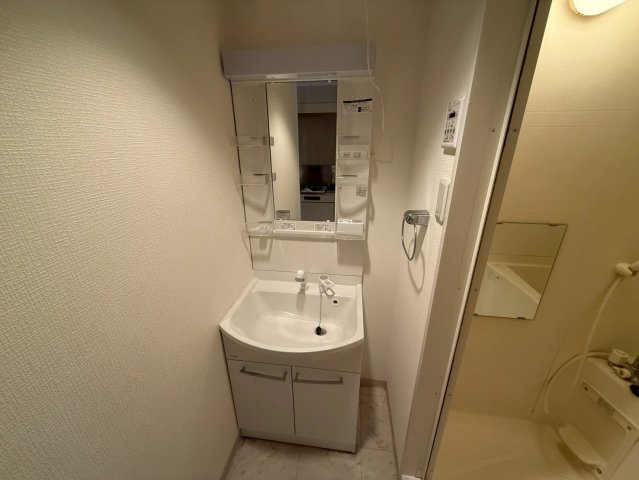 レジデア西本町の洗面所