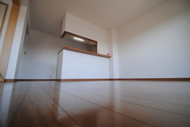 ルミエール合川の居間・リビング