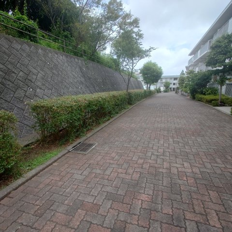 緑の街四号棟の周辺|敷地内遊歩道です