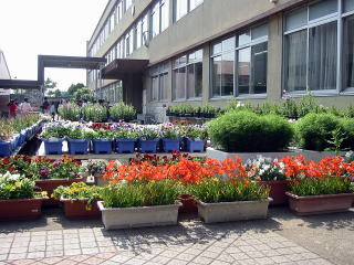 綾瀬市立綾北小学校まで850ｍ