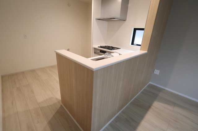 《仲介手数料無料》見沼区大字蓮沼980-7(全1戸)新築一戸建てずっとプラスのキッチン|撮影日 2025年10月24日 14:00 曇り
