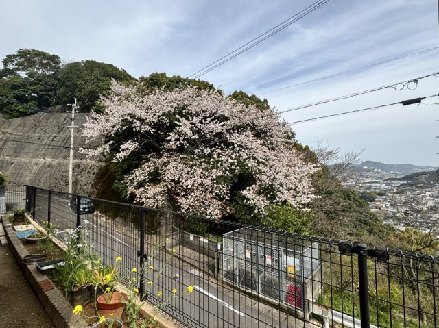 城山台2丁目戸建の展望
