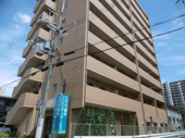 YUWA Setaの画像