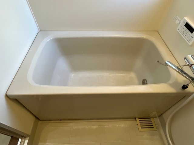 マウントビレッジ大池台の浴室