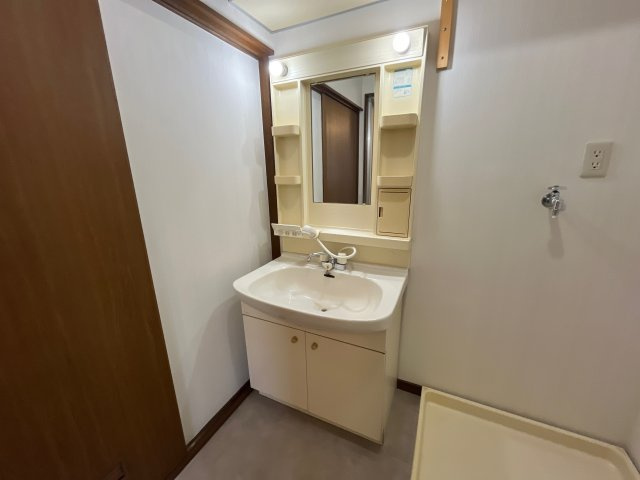 マウントビレッジ大池台の洗面所